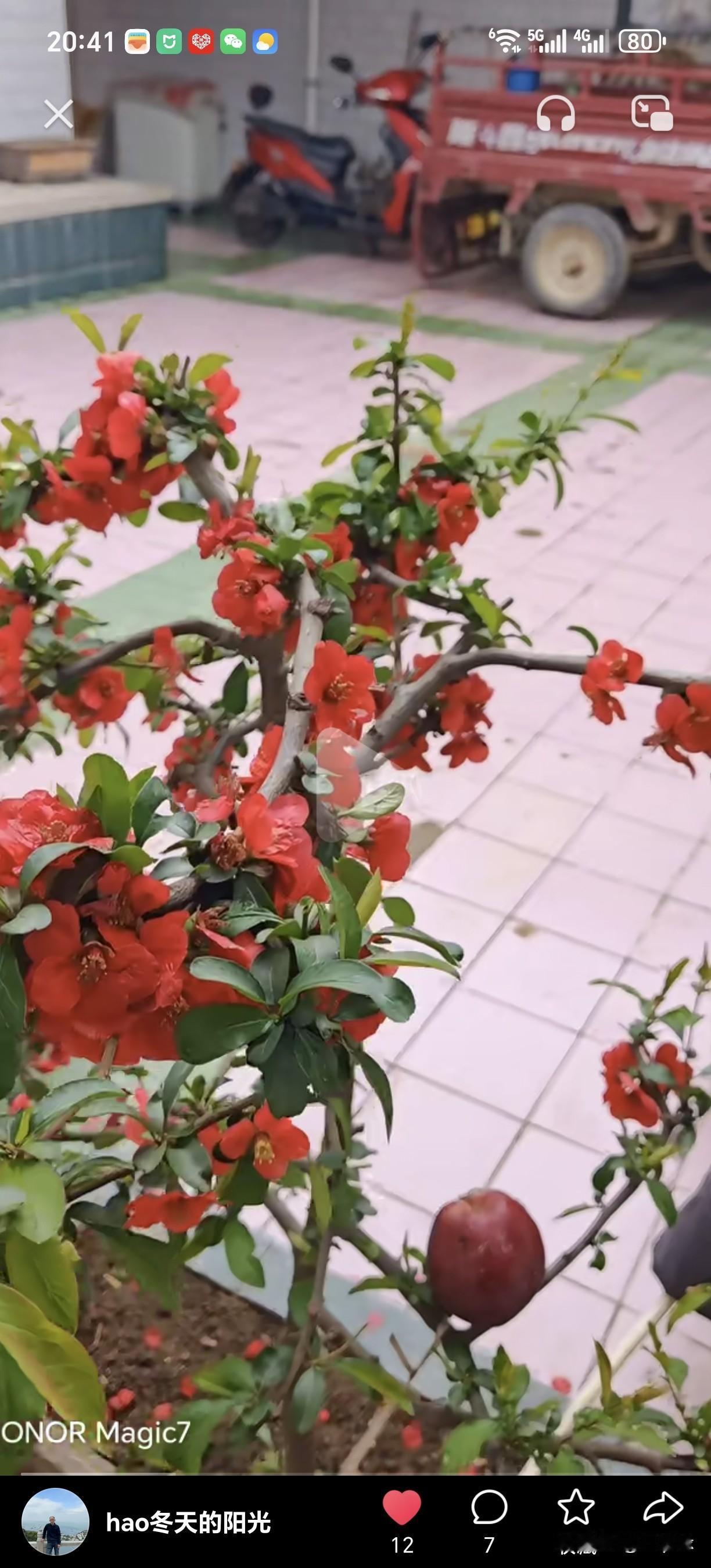 褪去“抗中”滤镜：台湾学者逆风的清醒，戳破了怎样的幻象？
在民进党当局精心构建的