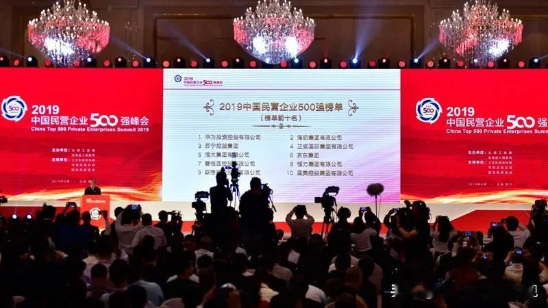 2019 年中国民营企业 500 强的前十名。

现在看，里面能留下来还活得不错