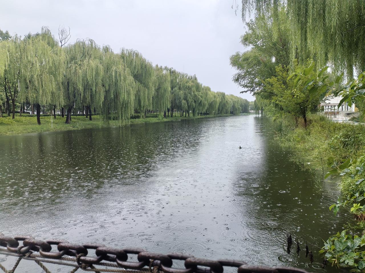 过好中国传统节日
发扬中华优秀传统
爱国爱党爱我中华
幸福美满昌我华夏