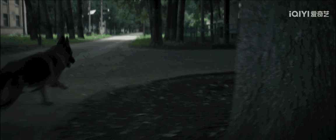 树影迷宫连转场都在埋钩子《树影迷宫》的转场从不用炫技空镜，全靠叙事里的引线推动，