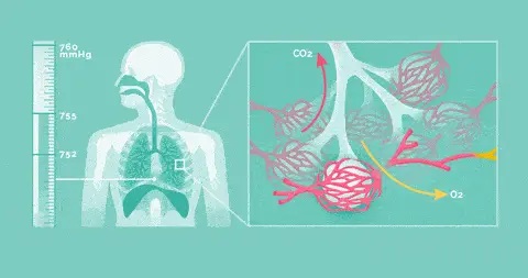 快停下！严重可致血管破裂，很多人都有这个习惯