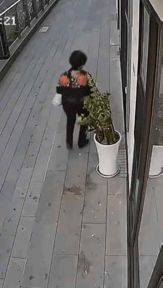 大妈只是路过，人家花盆没碍到她呀[灵光一闪]