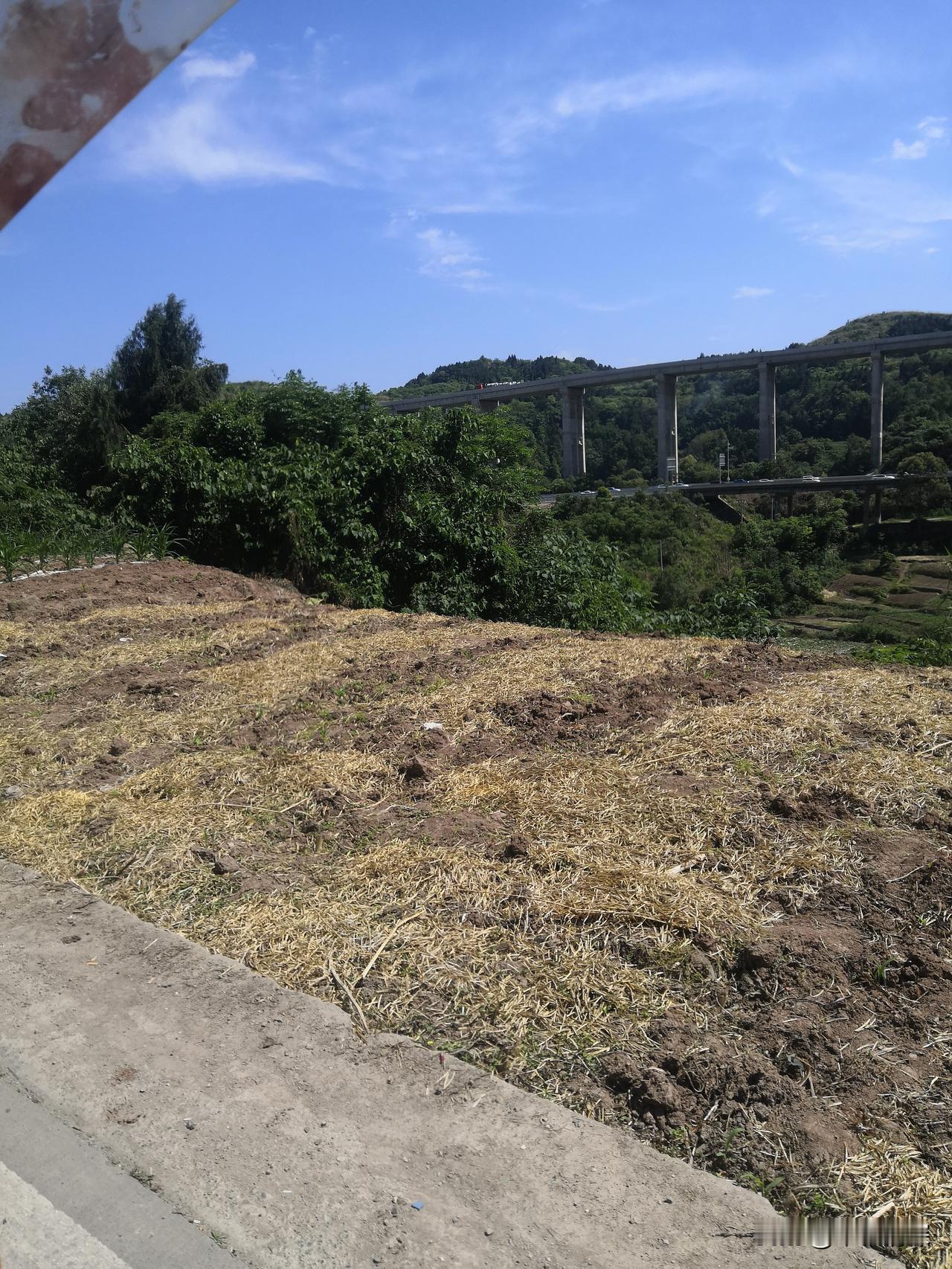 刚才看到手机上天气预报，德阳市中江县冯店农村当地，这段时间都没有下过雨，都是渴望