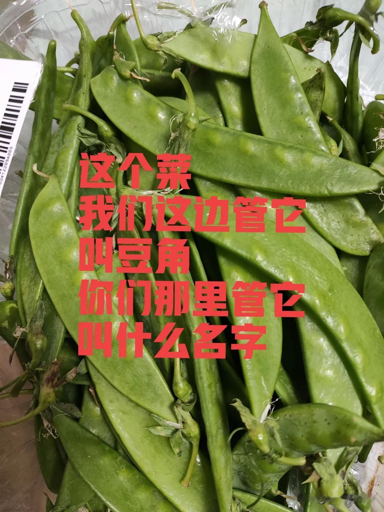 这个菜我们这边管它叫豆角，你们那里管它叫什么名字？每个地方都有自己的方言和土话，