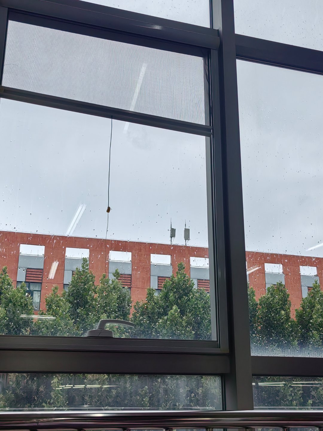 下雨了没带伞