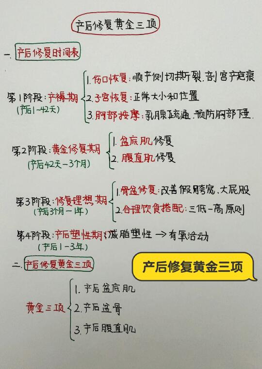 今日学习打卡——产后修复黄金三项