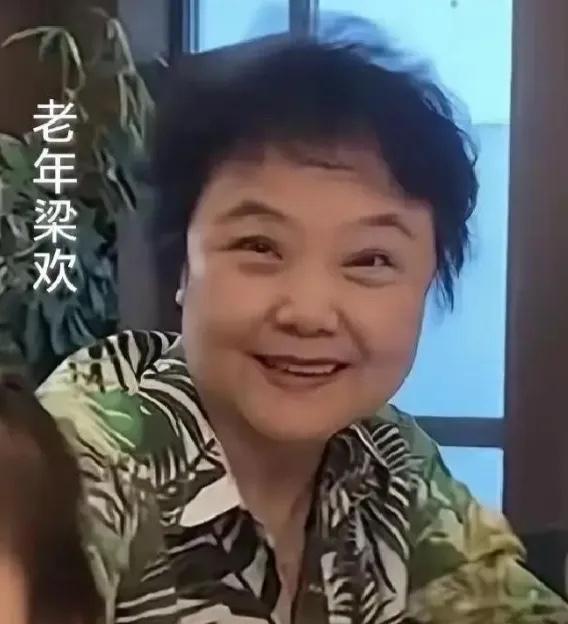 2026年英达66岁寿宴照片流出来，梁欢坐在角落里，头发白了，人瘦了一圈，跟当年