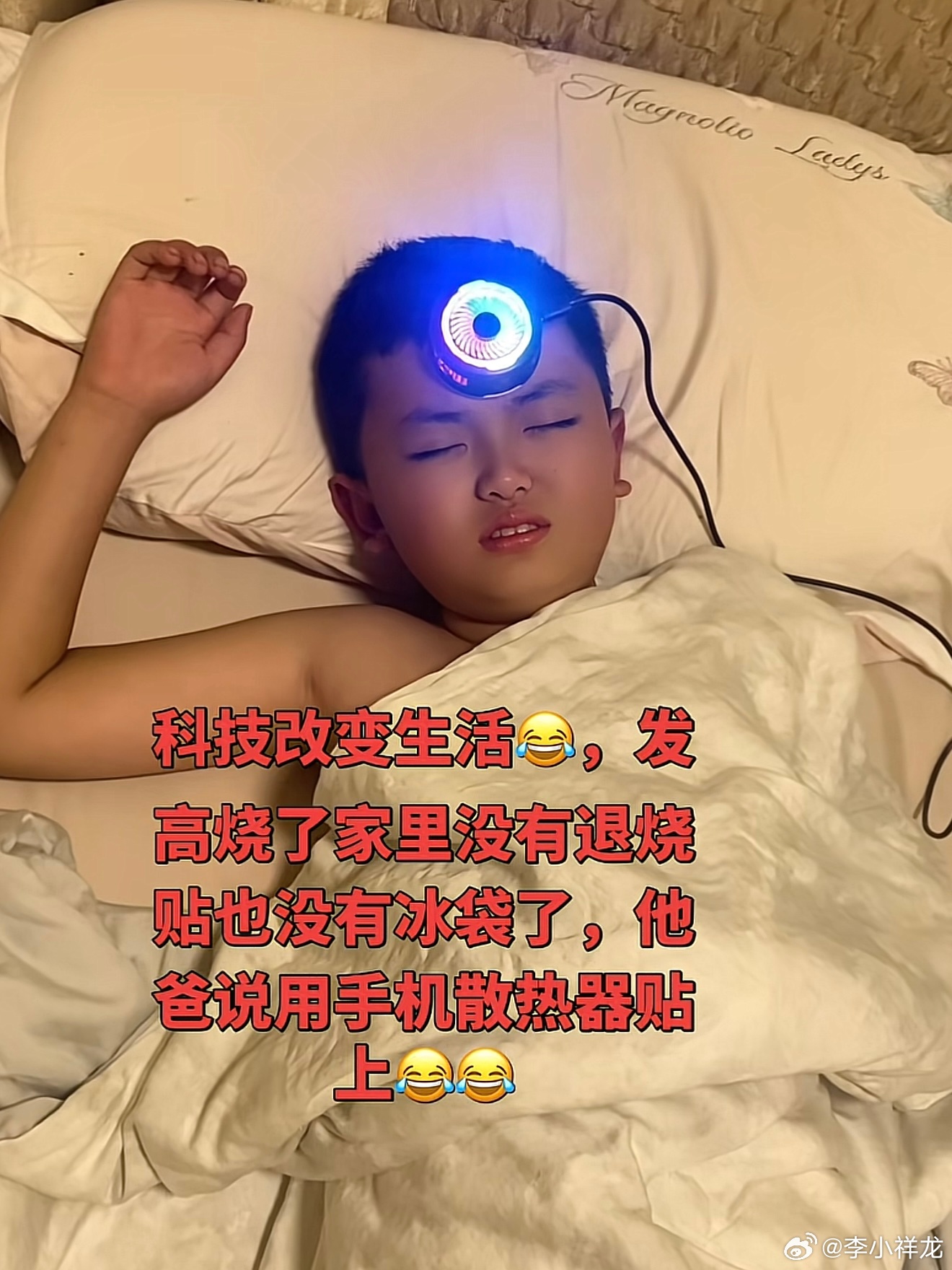 手机散热器还能这么用？网友评论“睡觉不掉帧”“做梦不卡顿”