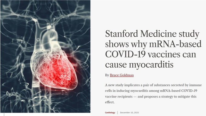 废话，福尔摩斯！！！斯坦福大学最终弄清了为什么用mRNA劫持人体自身细胞并强迫其