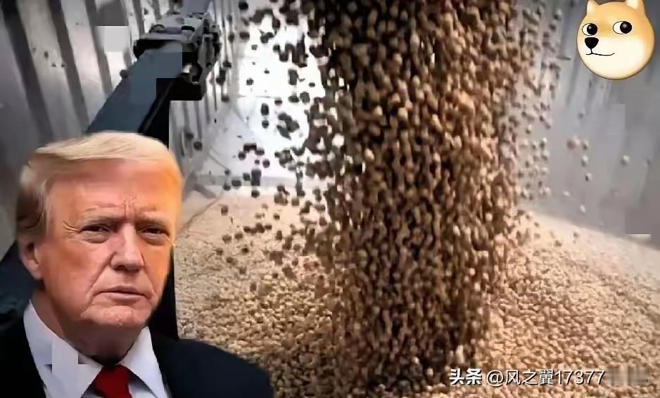 美国的眼里，只有利益，没有信用
协商好了，中国购买美国大豆，三年不少于8700万