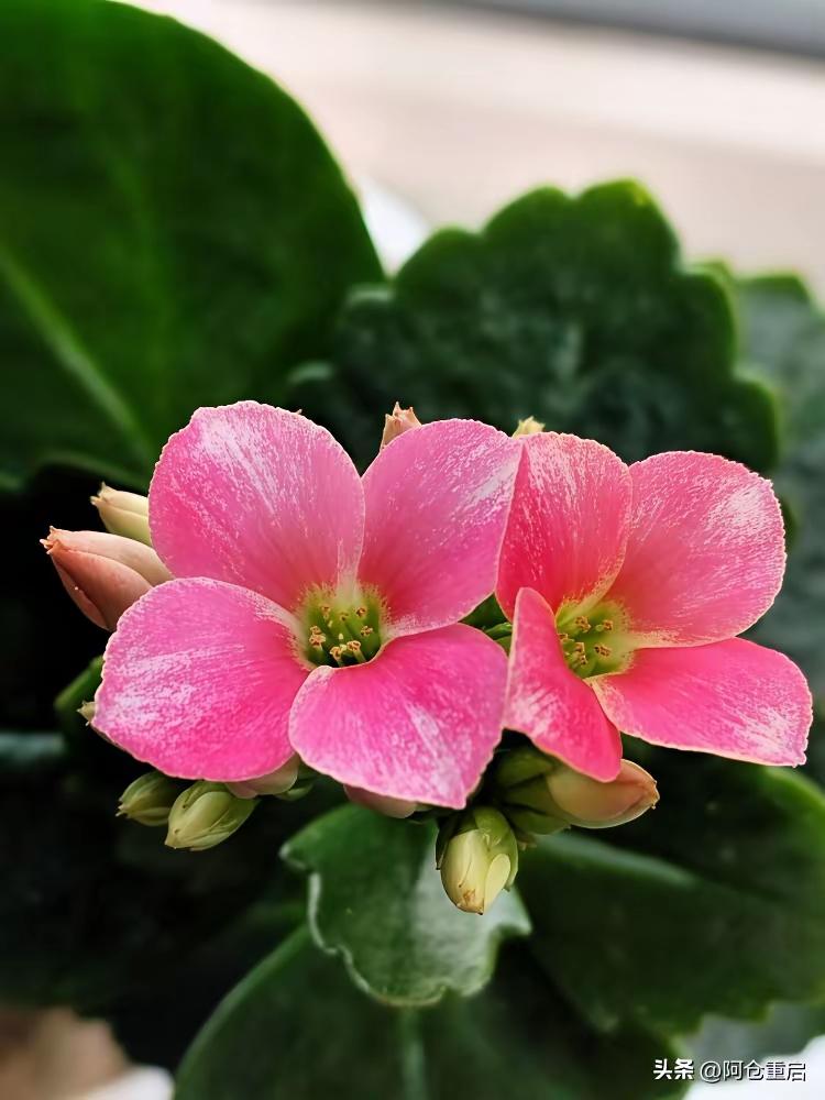 成年人的清醒
 
别把心底的伤，摊在人前晾晒
别把满腔的苦，说给无关人听
你以为