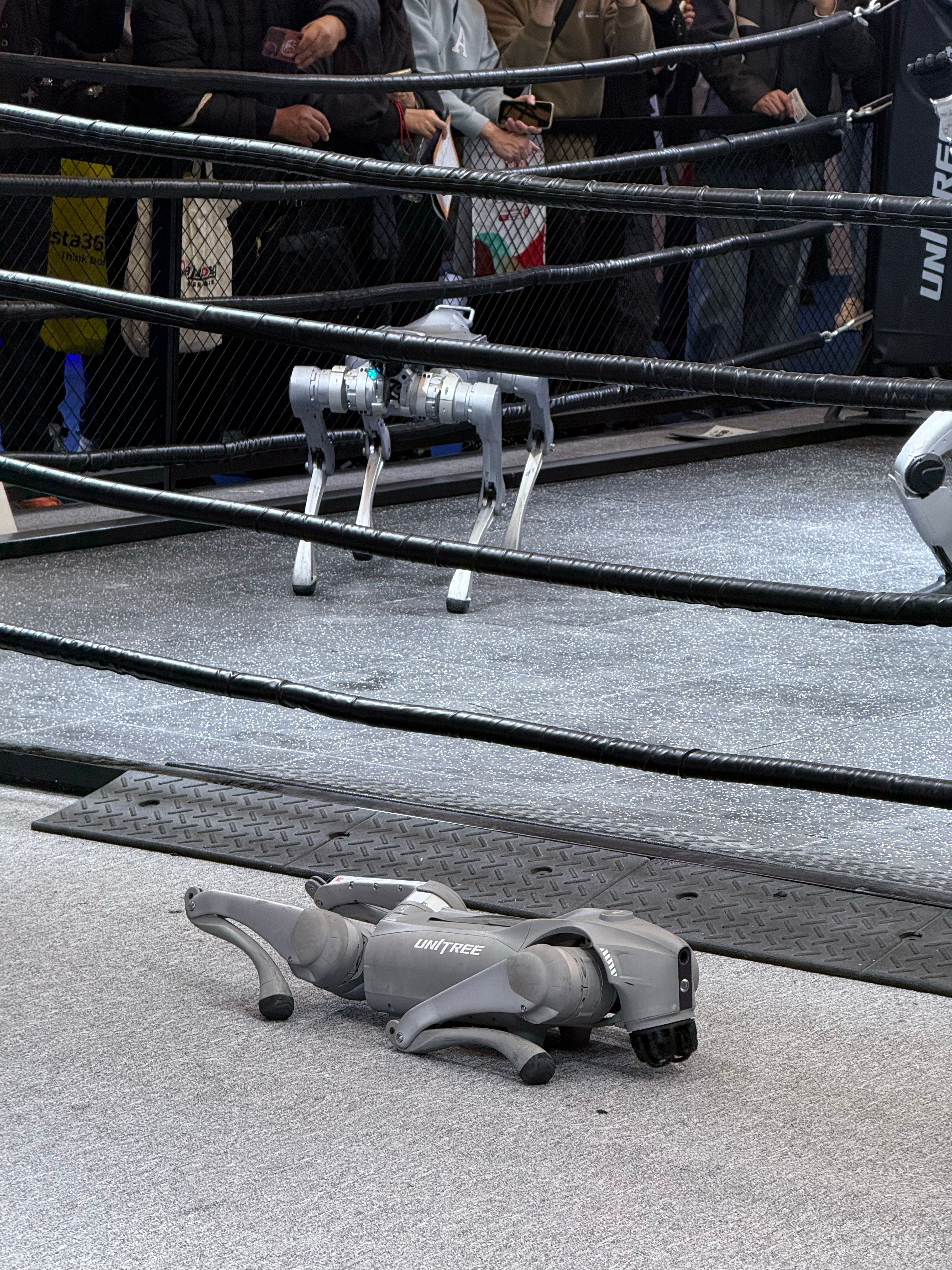 宇树科技这两年势头挺猛的，这不新推出个Unitree G1，外号“铁甲拳王”，光