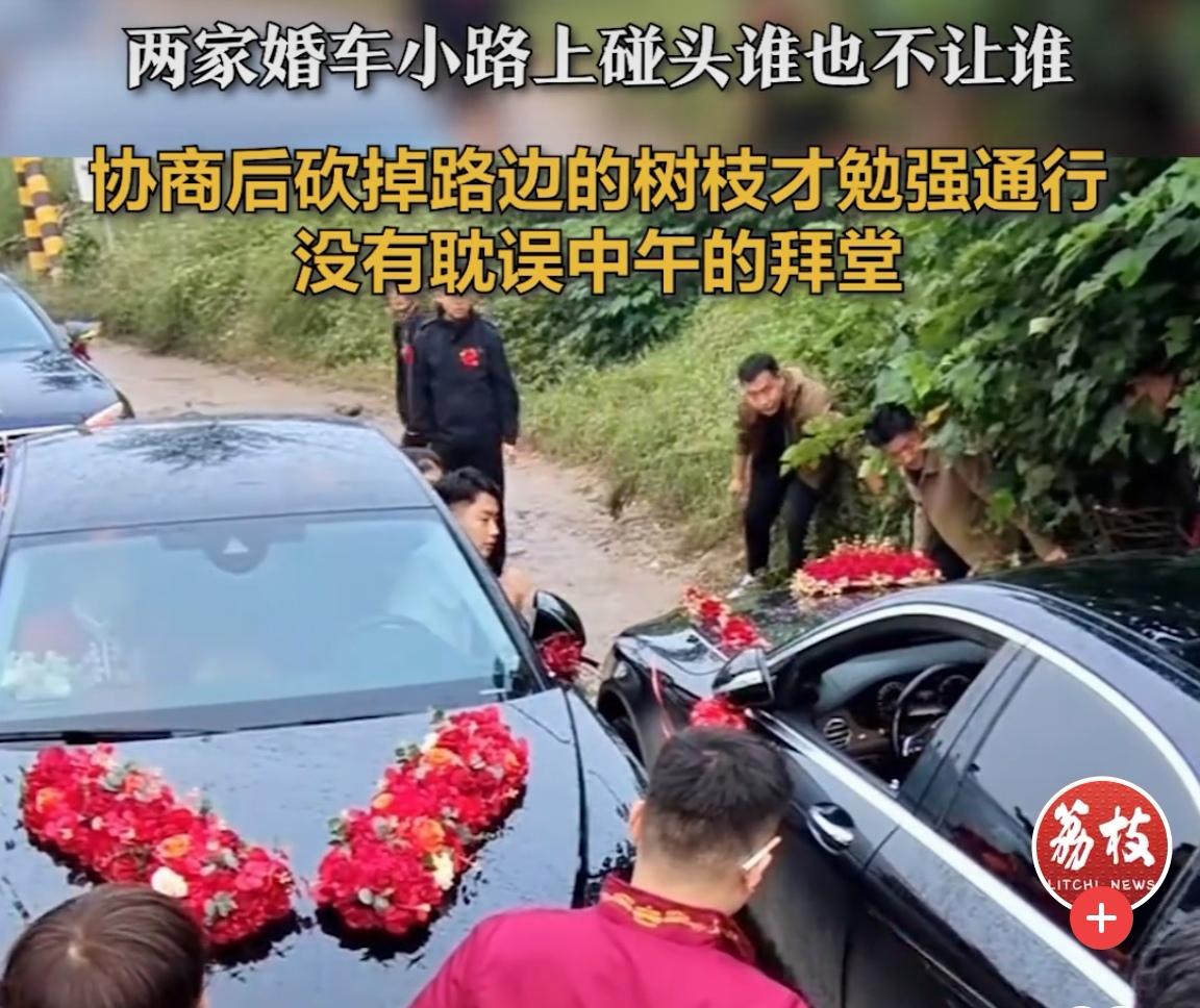 国庆节期间举办婚礼不少，这不两家婚车狭路互不相让，砍树通行后才懂：婚礼最该备好的