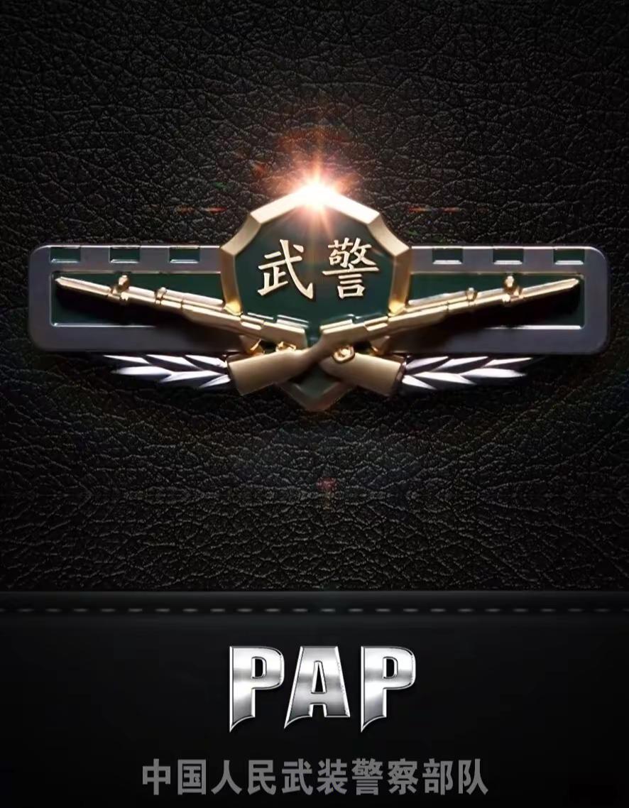 限定中国人民武装警察部队 国防力量
