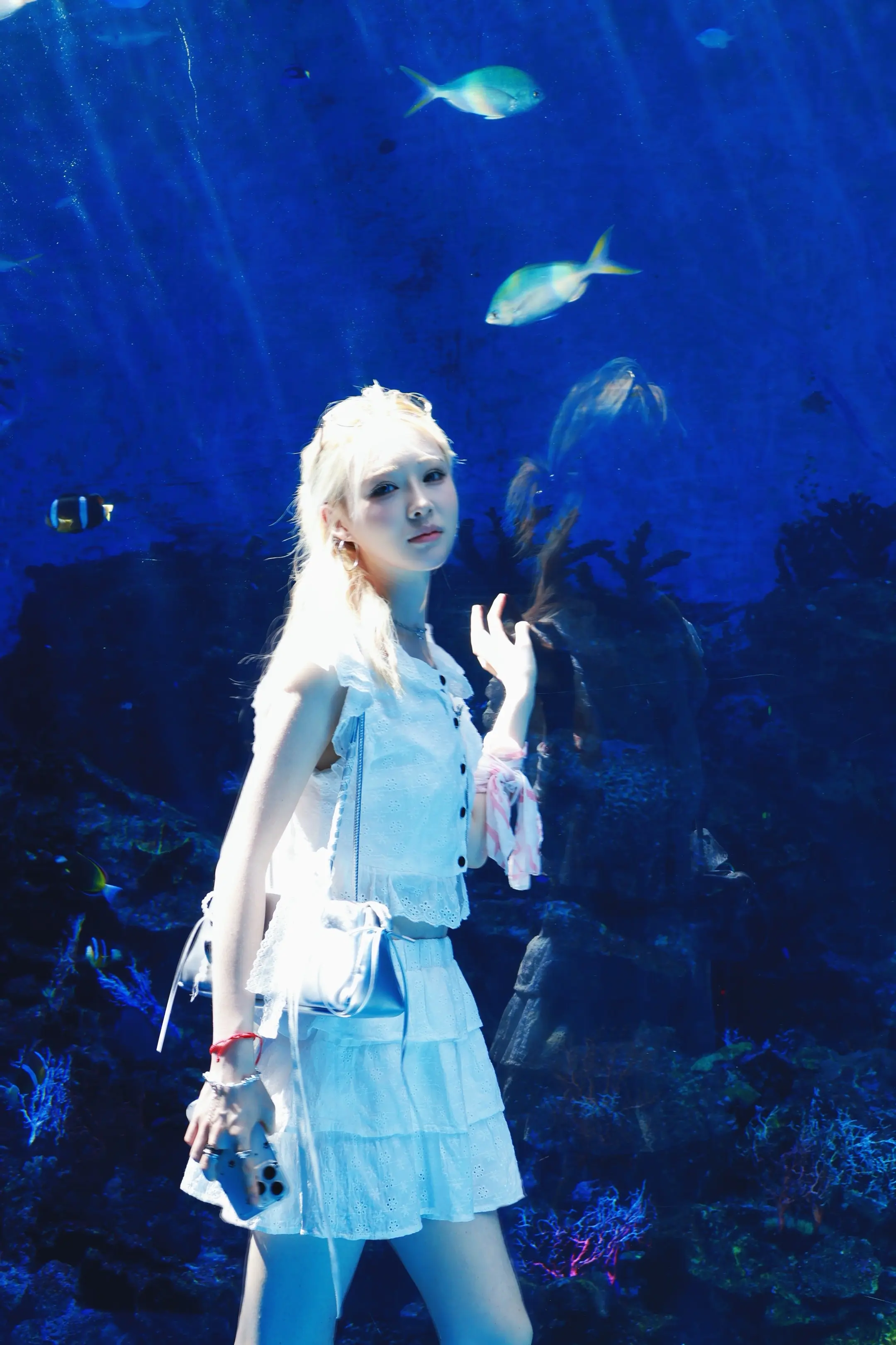 那天 做了一个蓝色的梦。