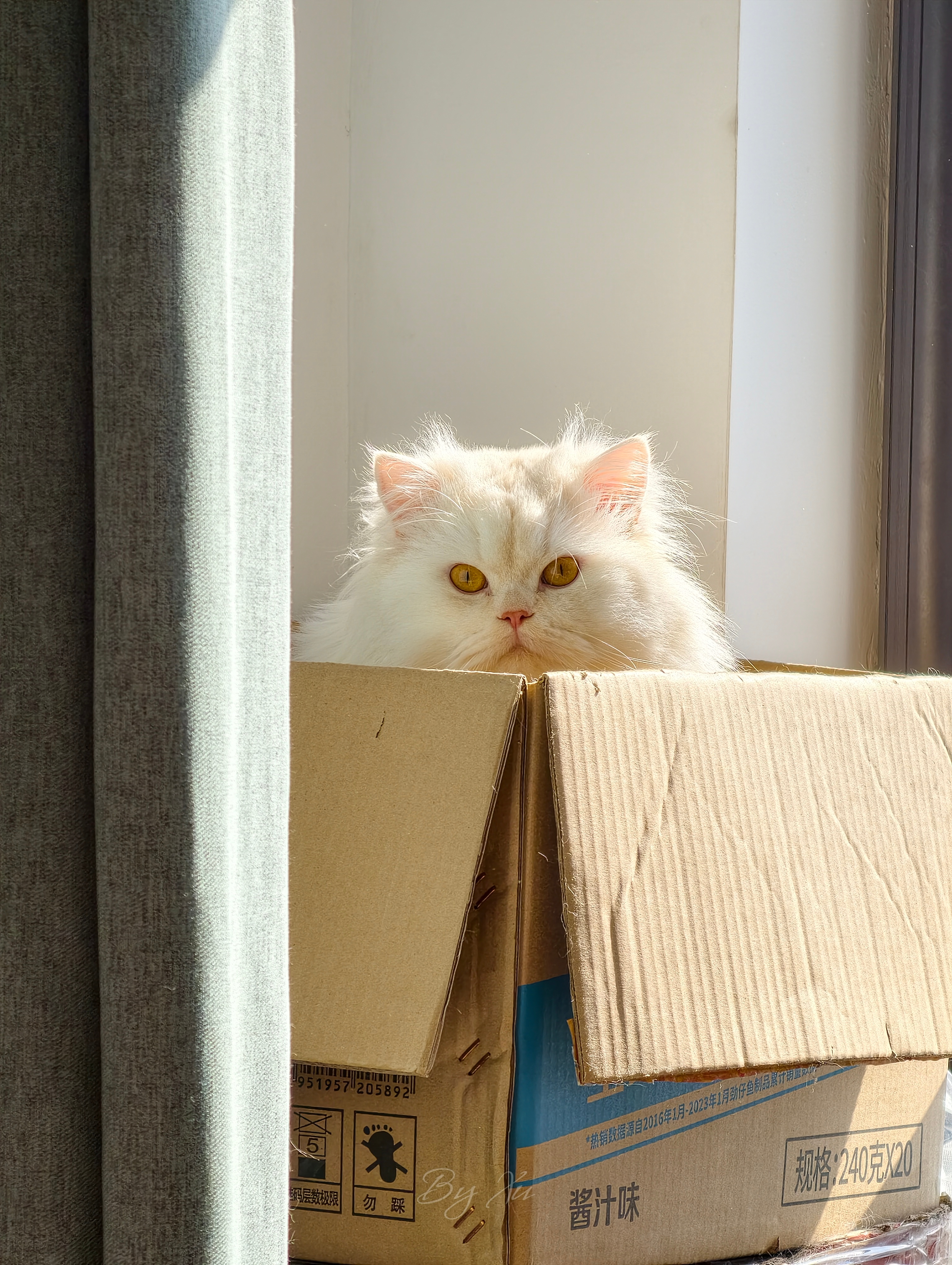 感觉上网越来越没什么意思了，玩来玩去也就那些东西，热情也慢慢消退了，最后再玩32