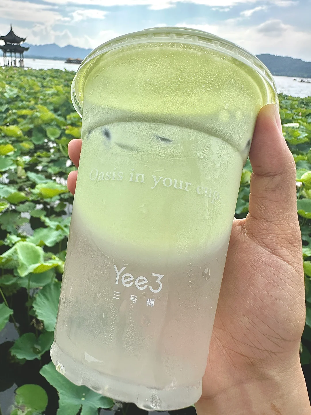 就在西湖边！！美哭了！！！