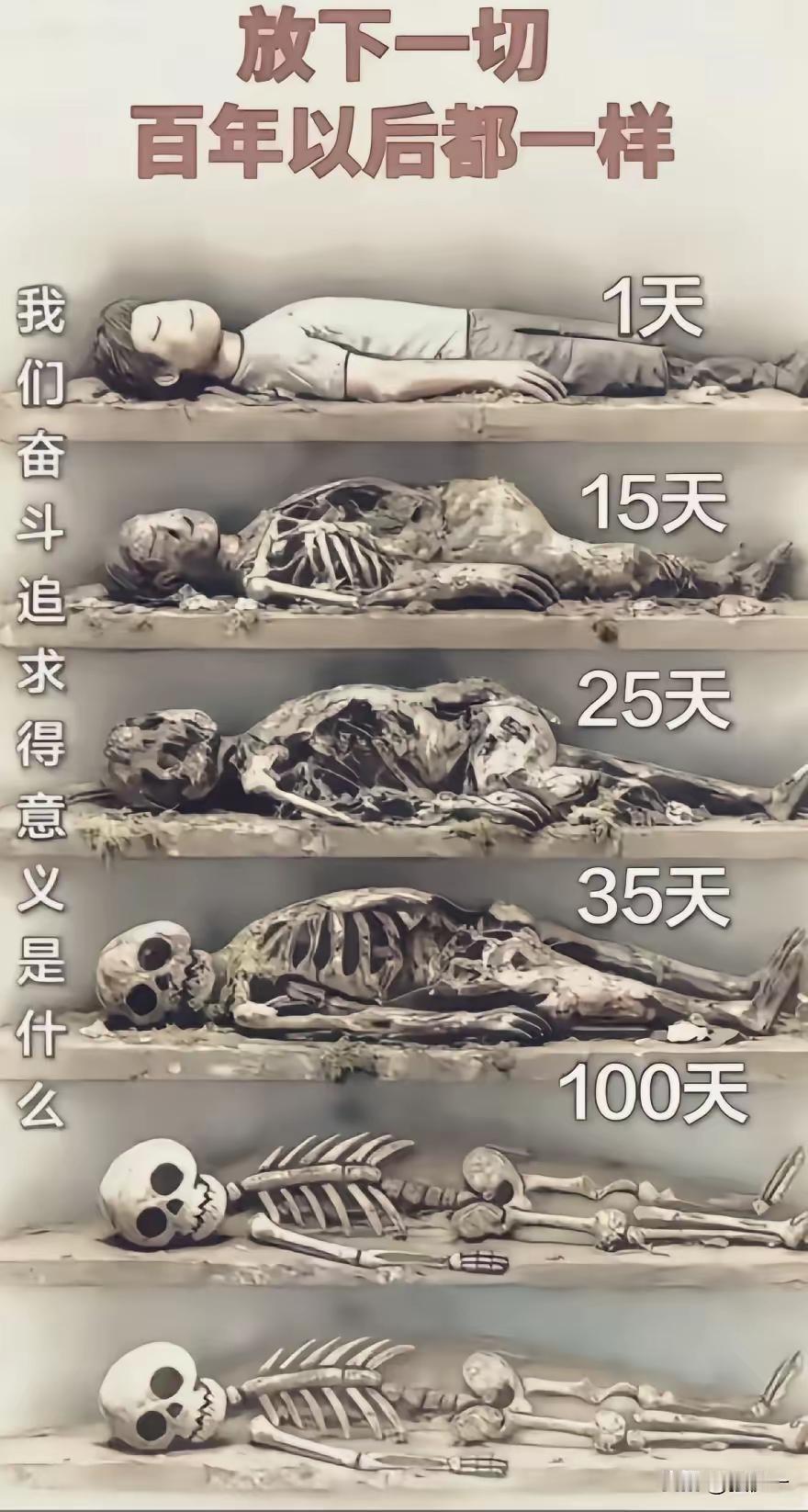 我原来想的入土以后最起码需要一年的时间才能成为一具白骨！

看了这个图才知道，也