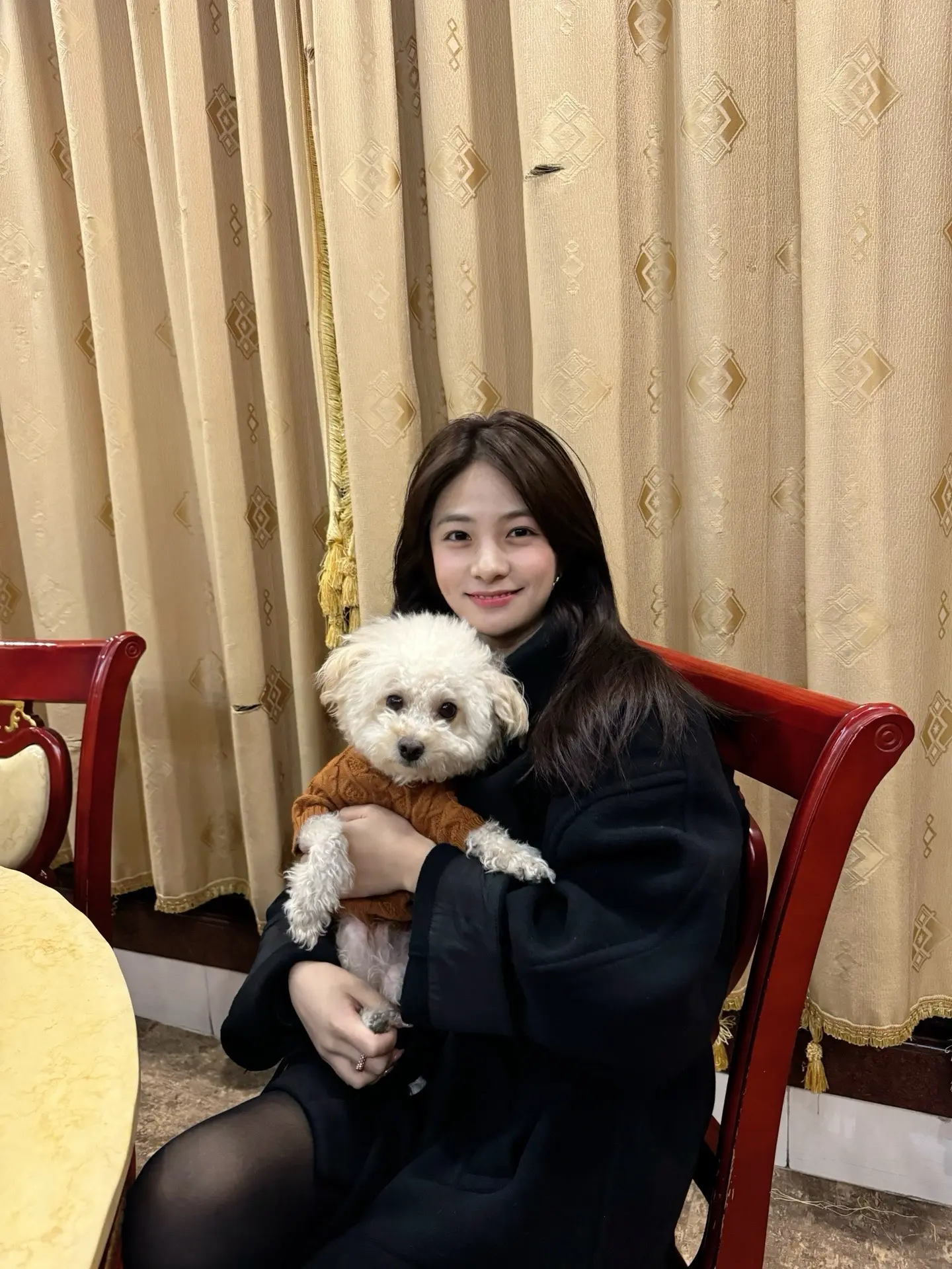 大家晚上好 除了给宝子剔毛的美容师