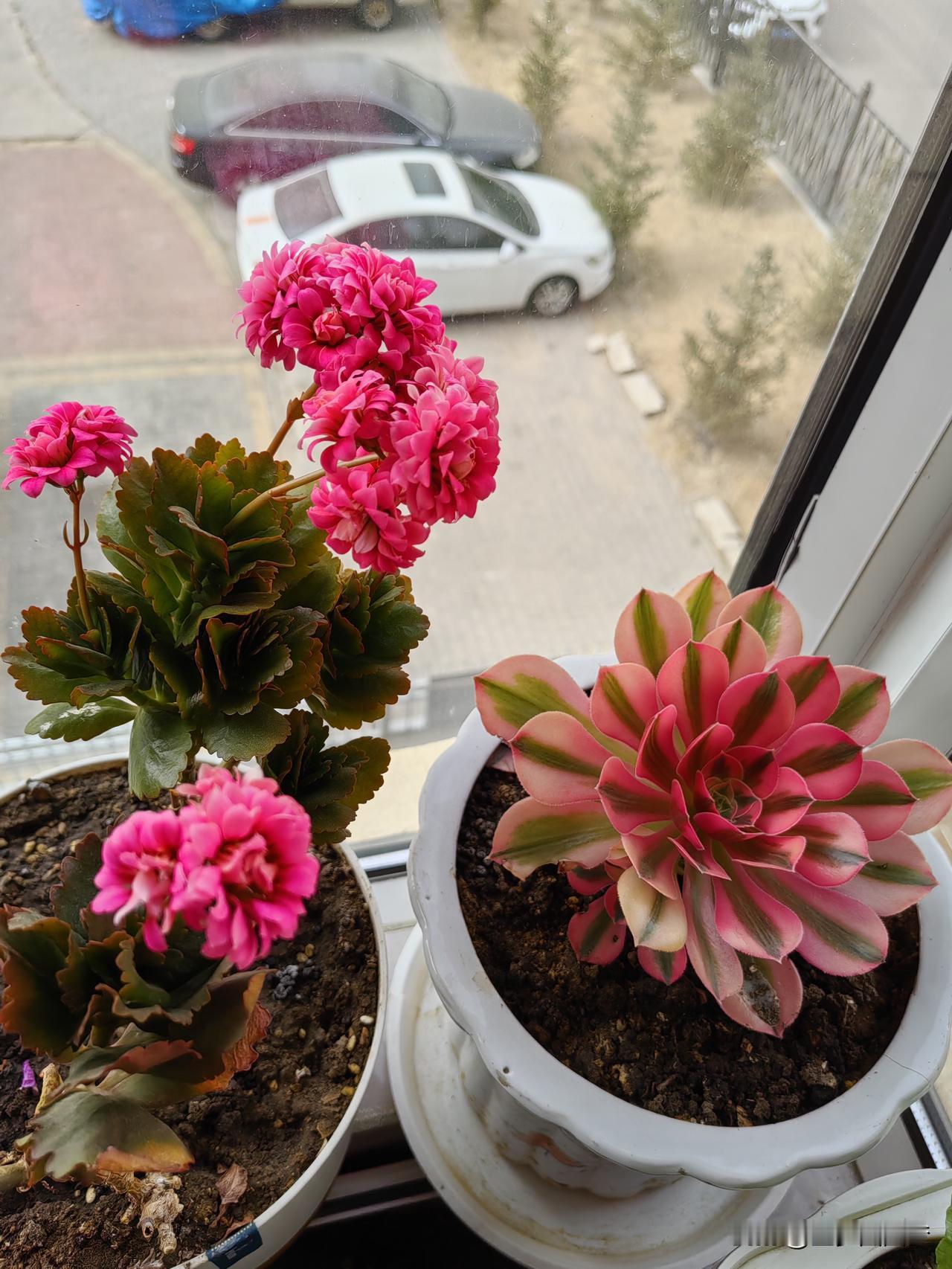 退休后你会躺平休息吗？

56岁退休的我，退休后又打工五年，今年自己给自己彻底放