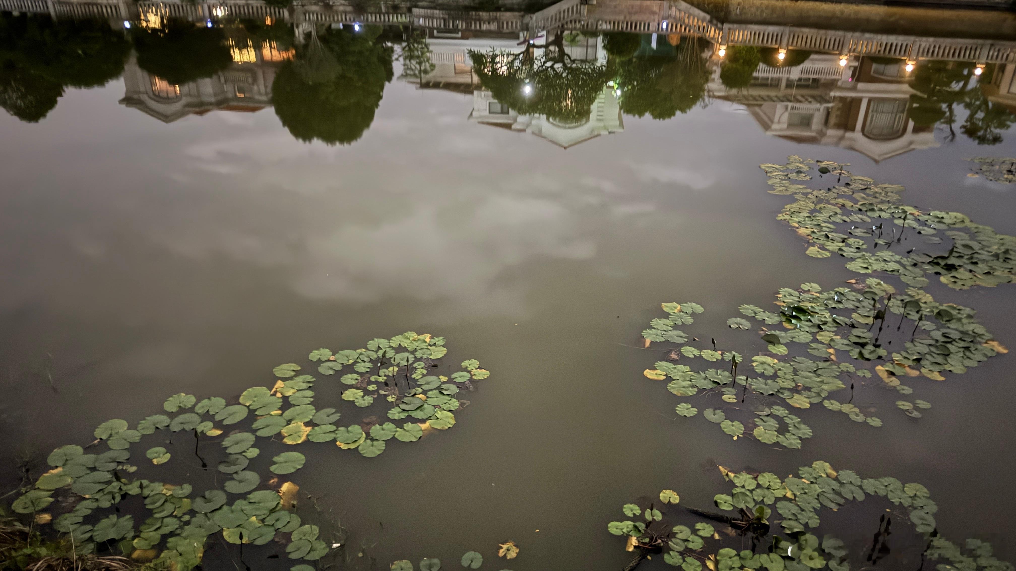 夜跑开始，我爱运动，运动可以让我宵夜自由，宵夜自由可以让我快乐🎉