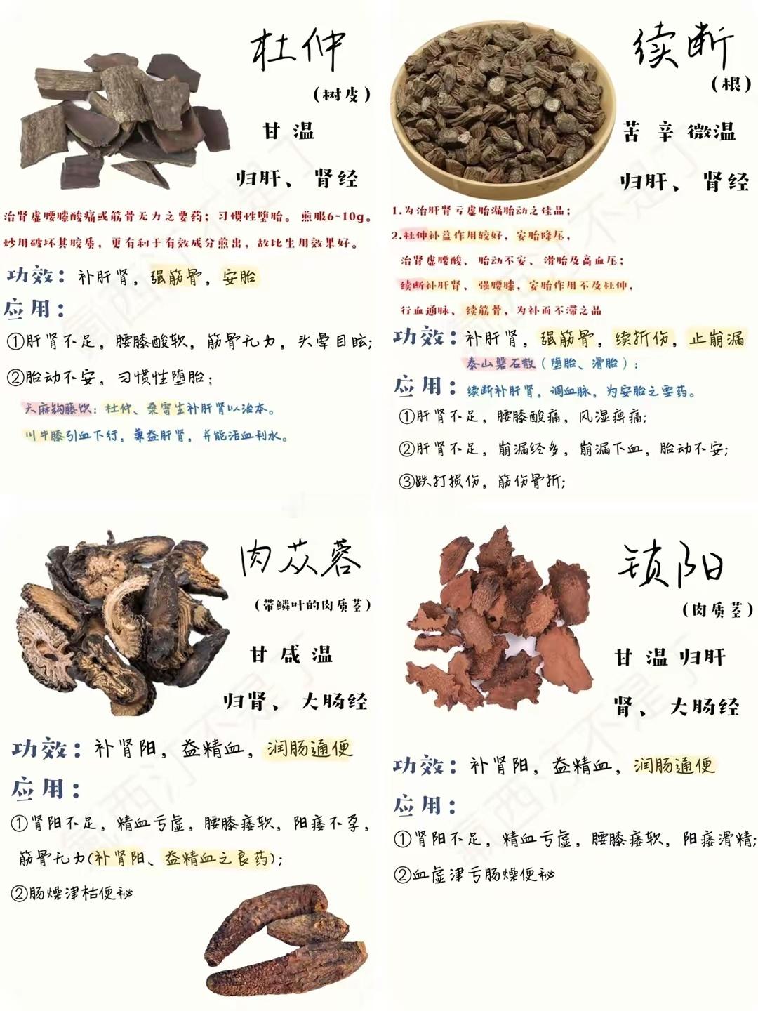 了解中医药学的历史悠久一直以来都备受人们的关注。今天将老中医的中药笔记大公开,都