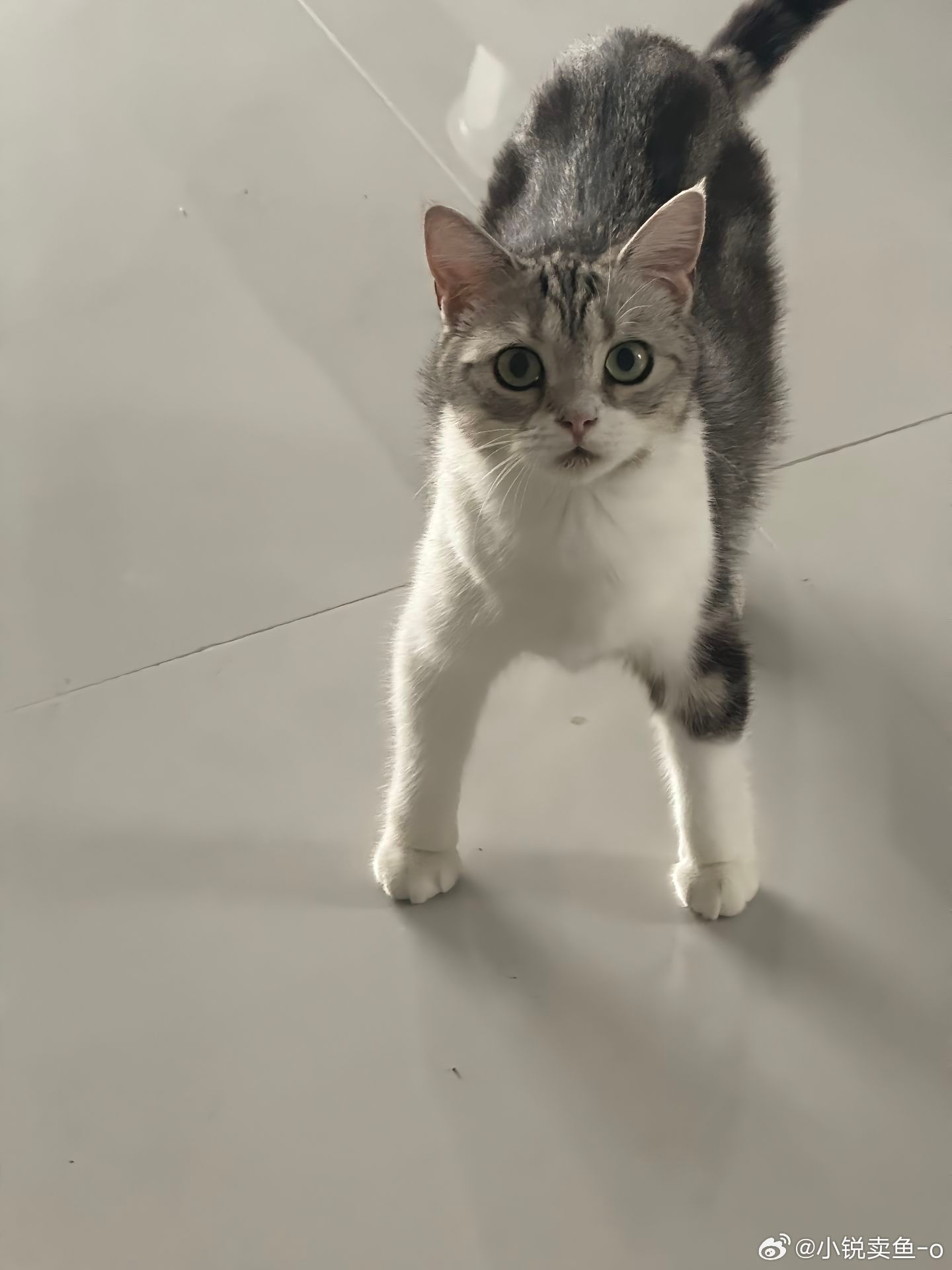 吴雩骑完大卡车后be like吞海