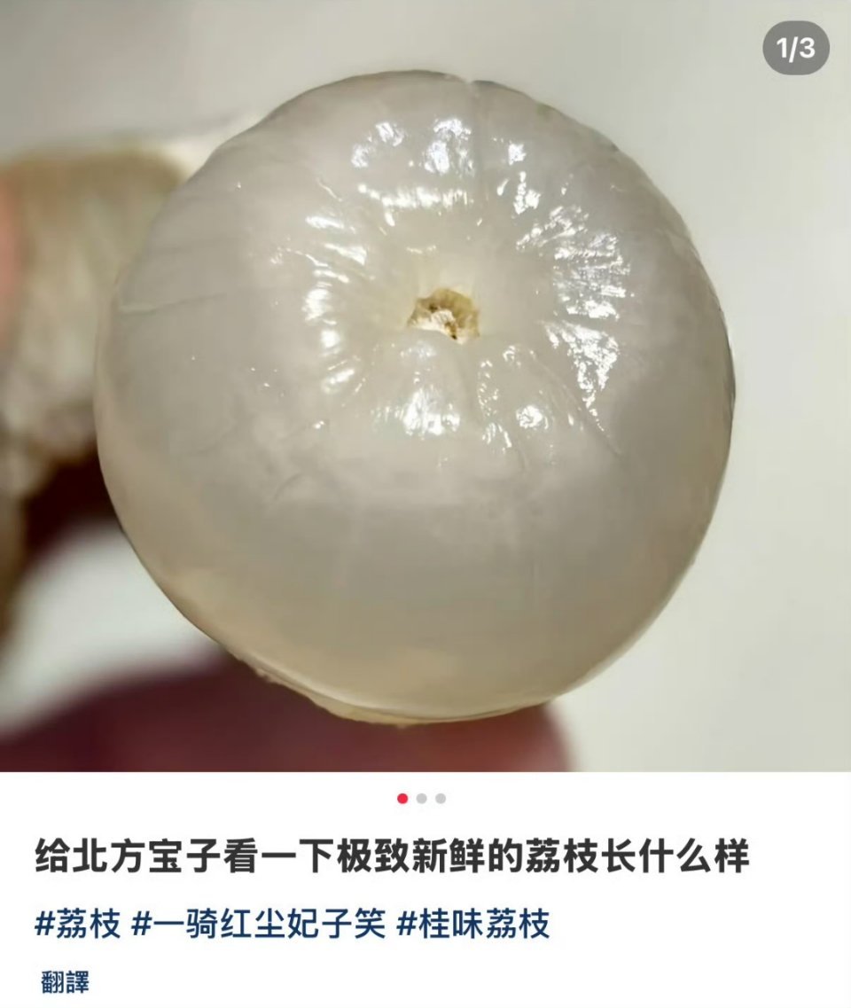 原来新鲜的荔枝是这样的感觉自己这么多年好像没太吃过这样的[傻眼] ​​​