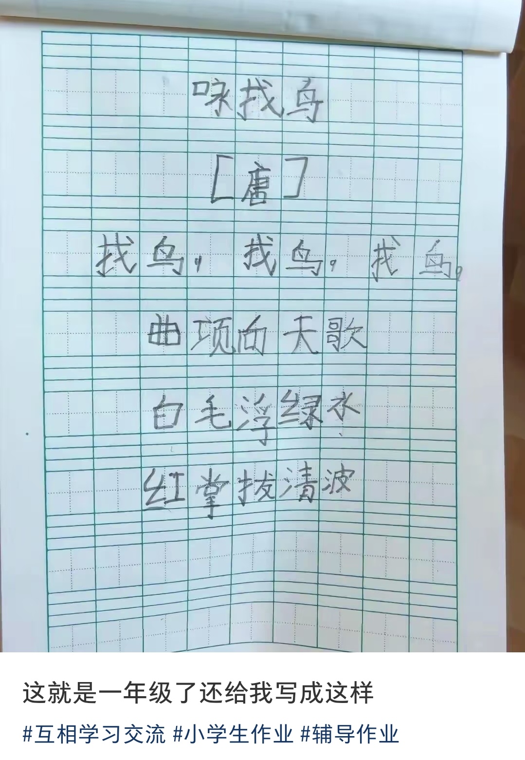 哈哈哈找鸟找鸟找鸟[允悲][允悲] ​​​