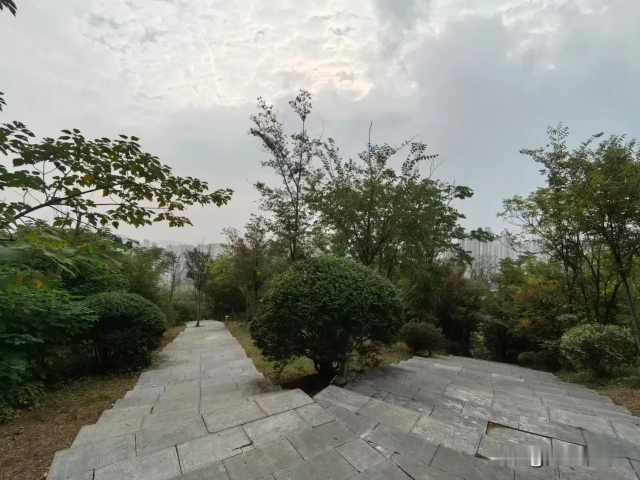 
秋日的景区，多姿多彩，
粉黛草变红了，风吹草动，放眼望去，宛如流动的海洋。
路