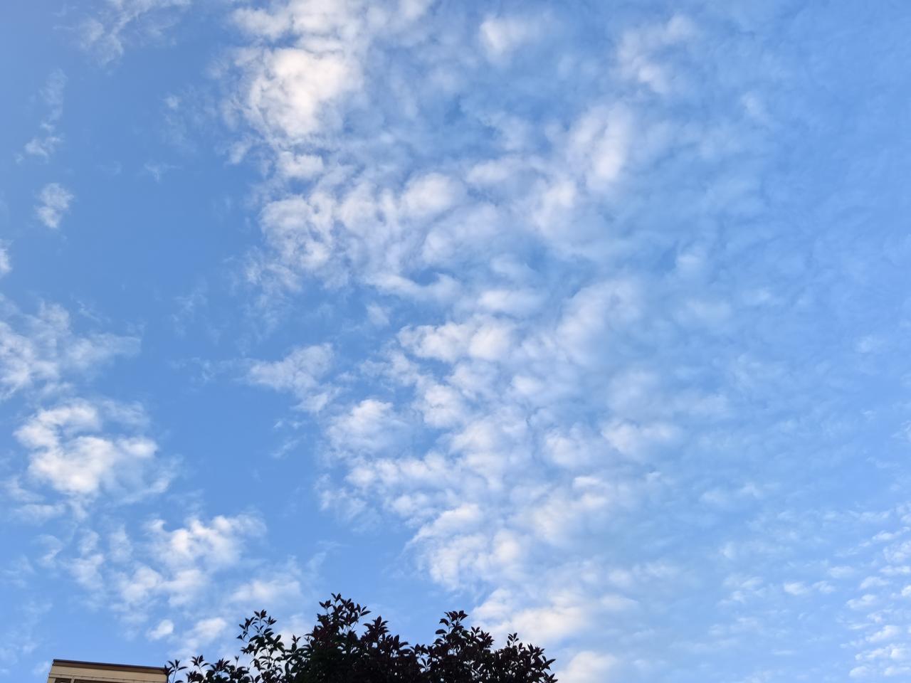 怀化放晴的美景吸引散步的人们……

     3月31日下午，怀化的天气终于放晴