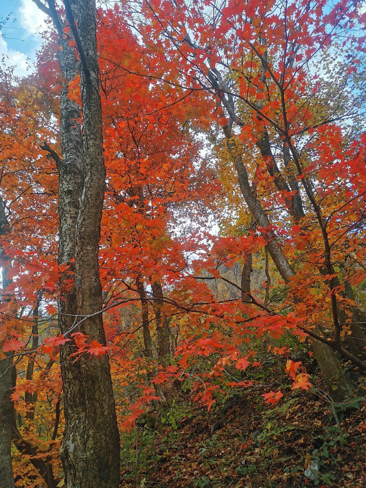 手机随手拍原创图片