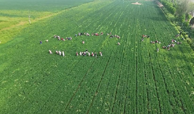 郓城县黄集镇辛庄



【沿革】 据《姚氏族谱》载∶清康熙年间（1662—172