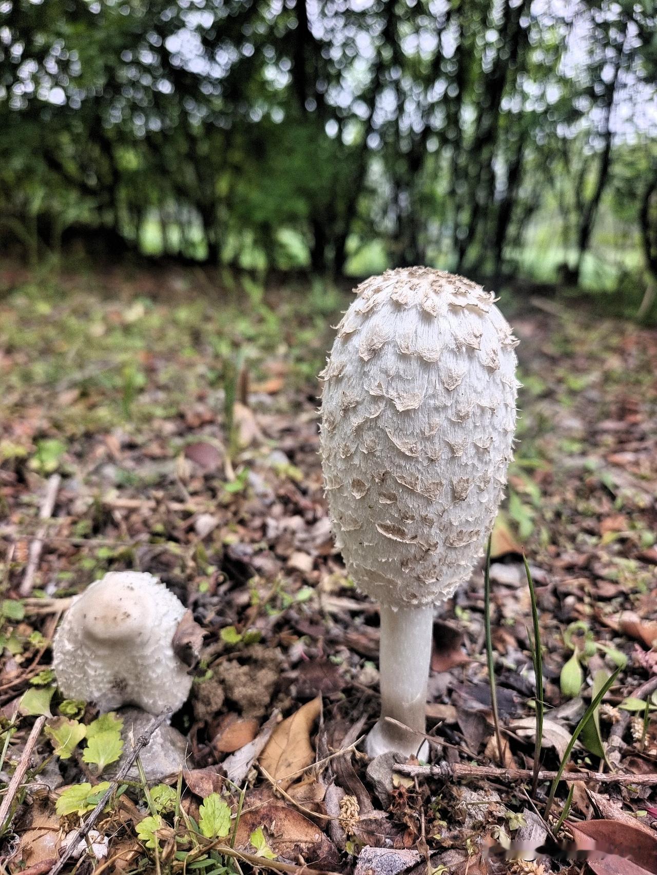 上联：雄心万丈一杯酒
下联：心灰意冷半瓶药

终生坚持作品原创的人
图片来源于作