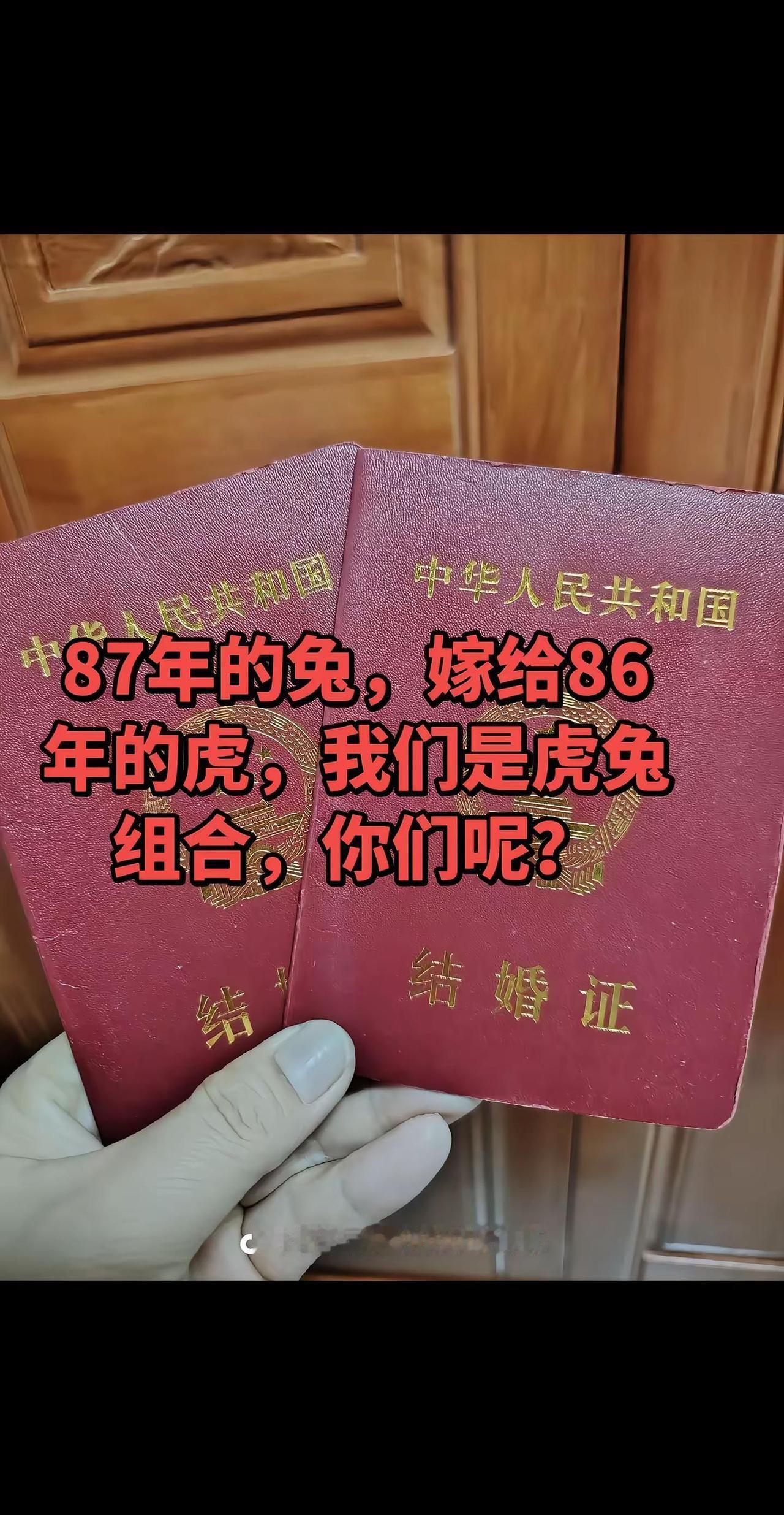 兔和虎你们都过的好吗？