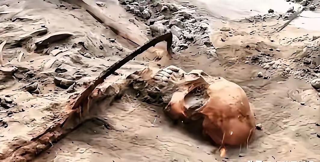 1068具遗骸，整整在土里埋了83年。就在前两天，河南舞钢挖出来的。如果不动土，