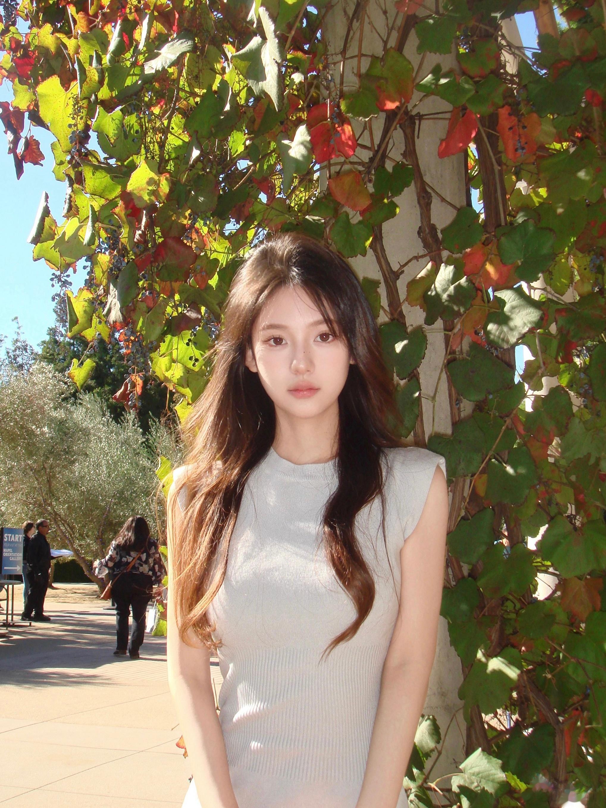  ꙳ₓ 🧺◟✦🍮˚ ༘🍃 ‎⋆꙳ ​​​