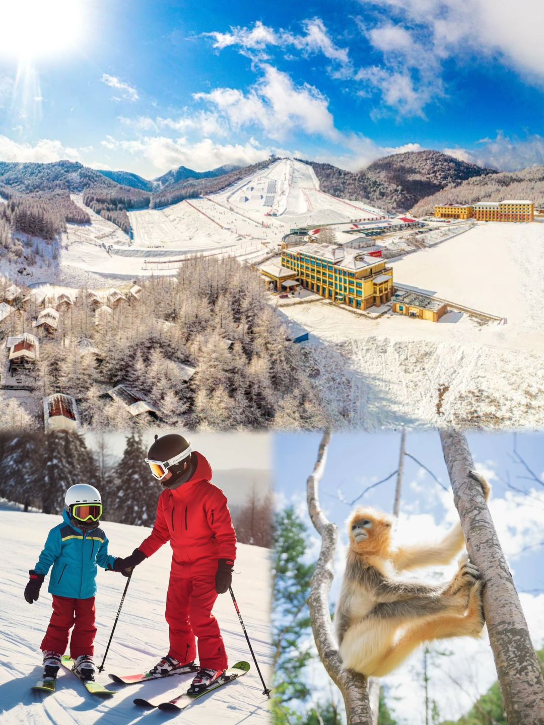 6天5晚攻略‼神农架滑雪Discovery太值得了