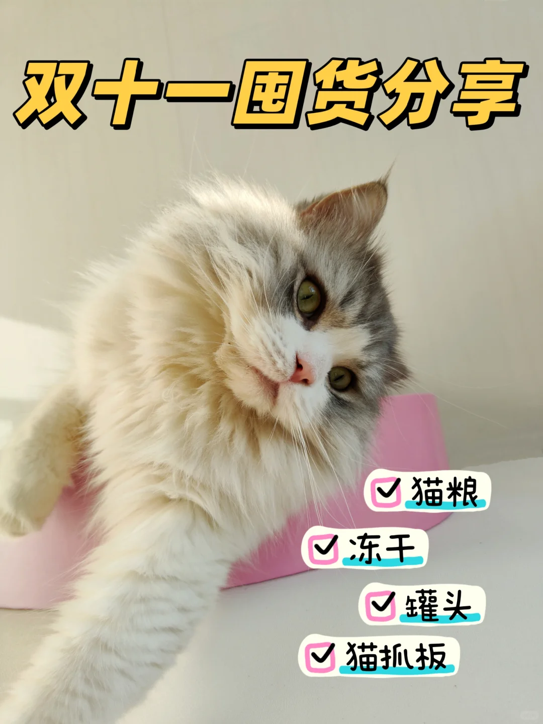 养🐱の双1️⃣1️⃣囤货分享