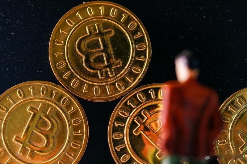 比特币现实中确实有人赚到钱，但只是极少数。早期有台电脑就能挖币，让不少人实现财富