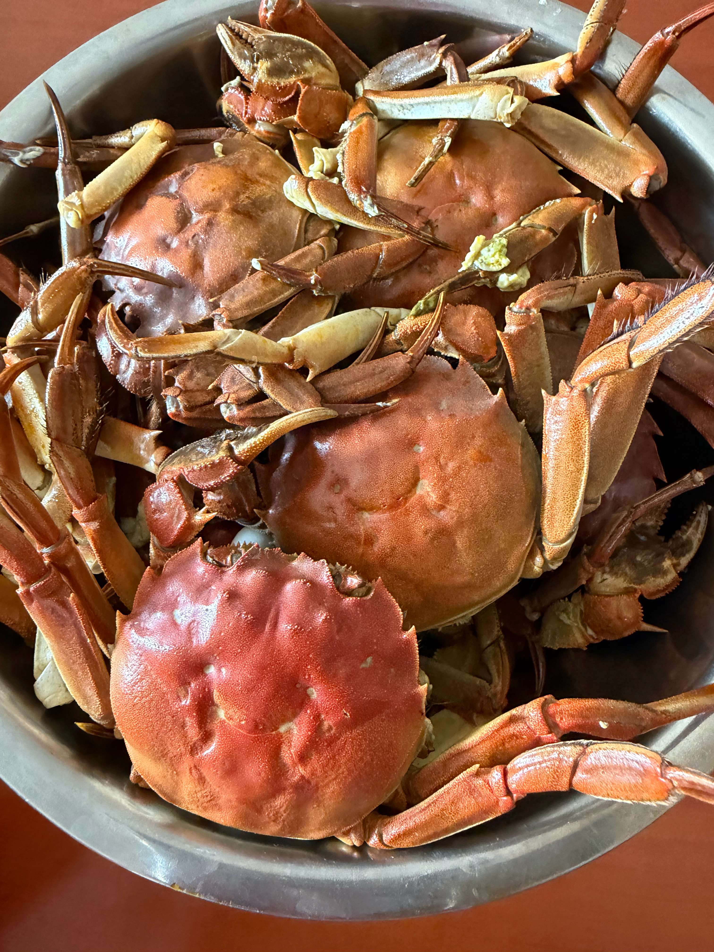 一边啃螃蟹🦀再来碗西红柿打卤面，看着宁哥综艺开推4～