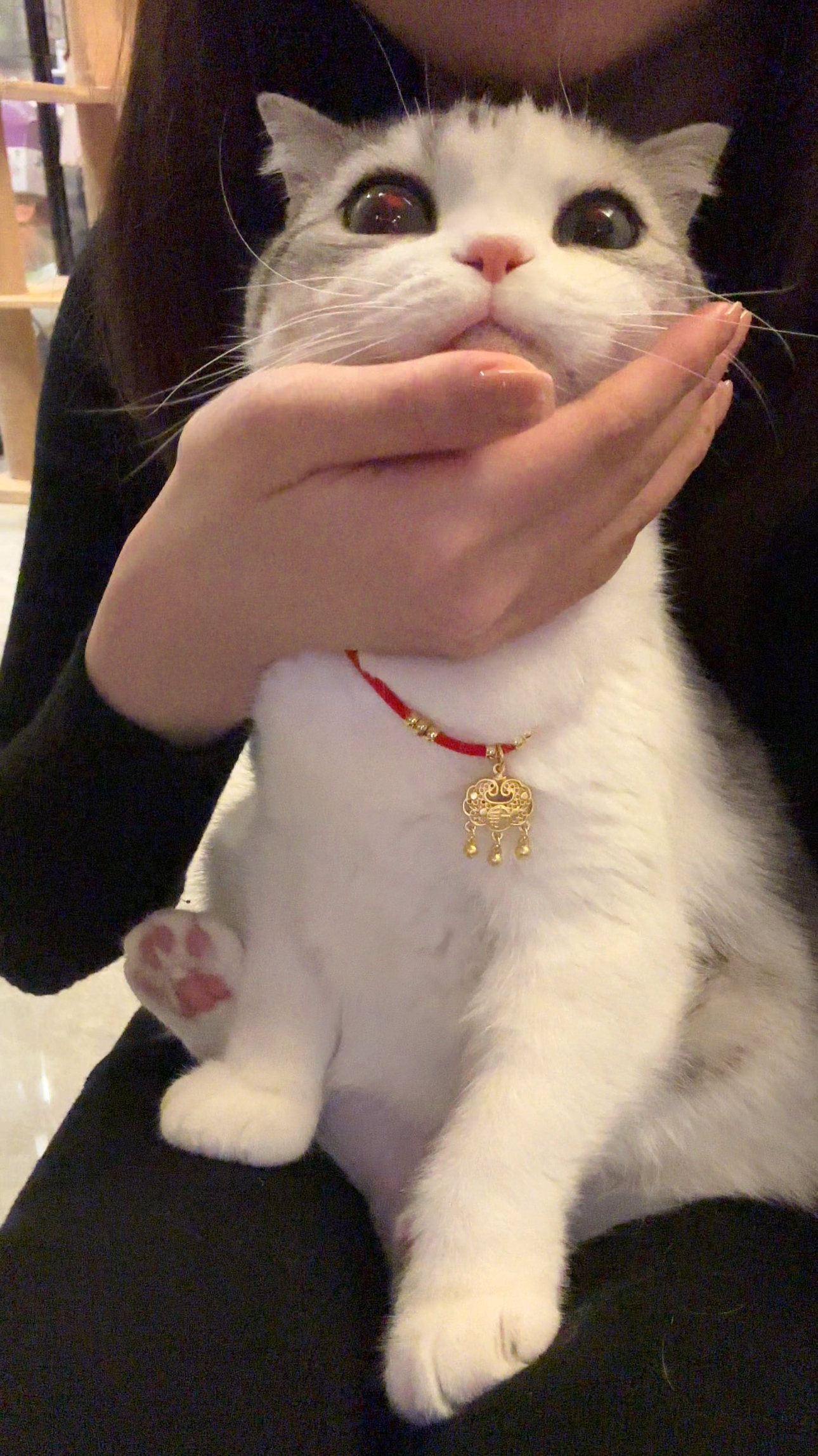 妈妈怀里的小宝宝～[抱抱]4年一度的2月29号，下一次在那年今日里看到这条是4年