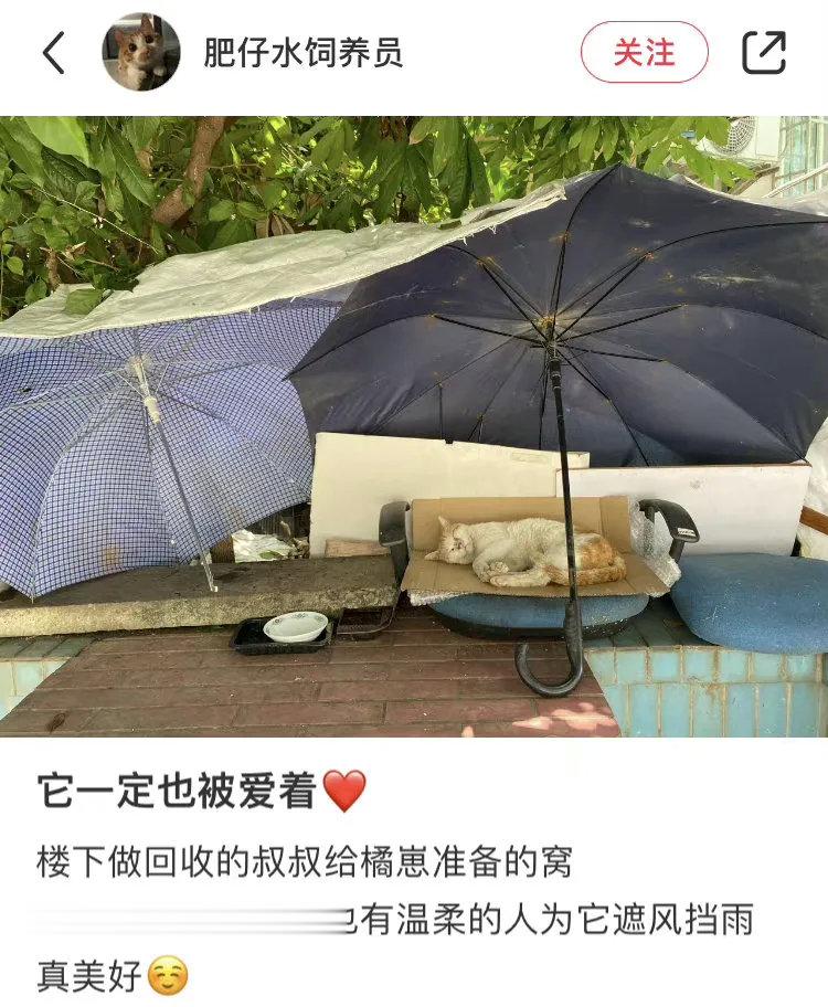 它一定也被爱着。