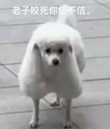 我本来是一个特别善良的小姑娘 我原来是个很好的人，后来突然出现了一堆人一直骂我的