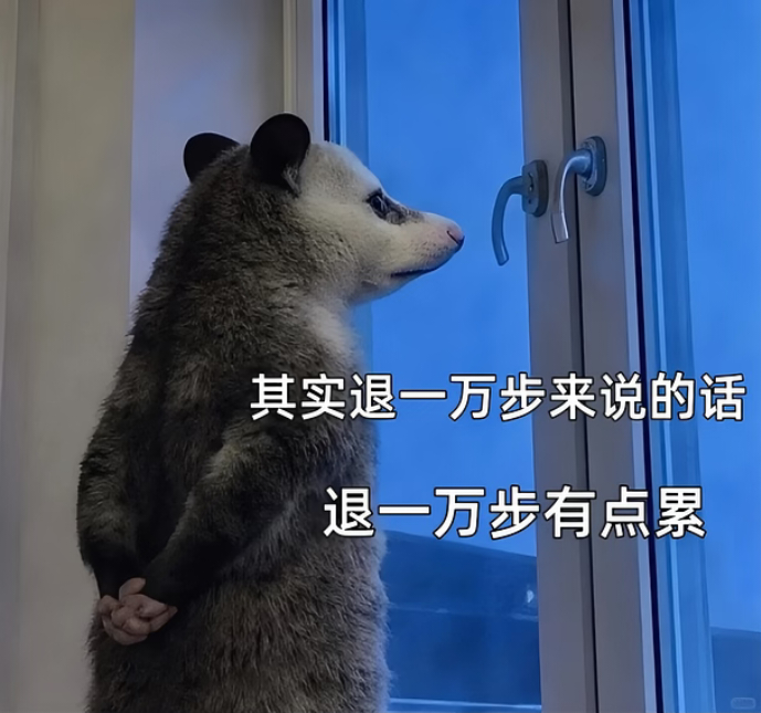 为什么朋友圈没有活人感了以前屁大点事都要发条朋友圈，现在全是精装朋友圈，那些乱七