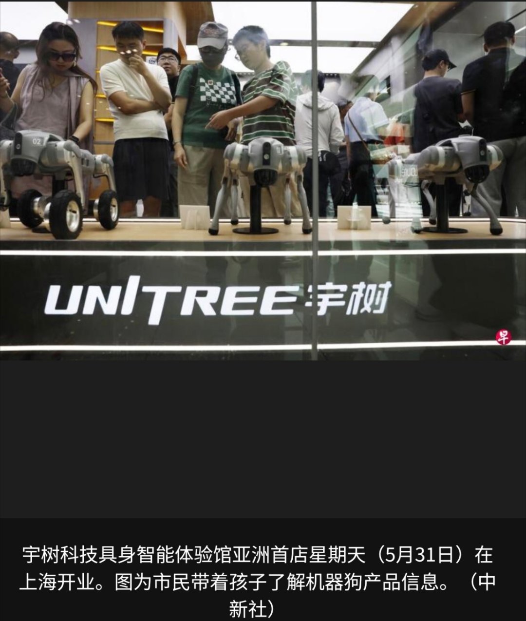 黄仁勋官宣联手宇树造参考人形机器人中国机器人公司宇树科技在科创板过会，拟公开募集