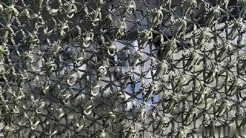 乌克兰无人机横行的好日子要到头了？谁也没料到，终结它们的不是更先进的防空导弹，而
