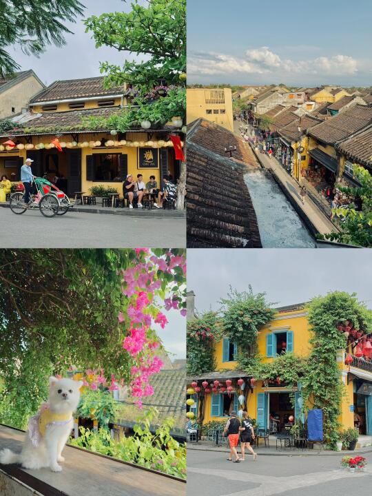🇻🇳会安古镇｜宠物友好｜小城慢生活🪑