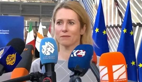 欧盟终于撕下了遮羞布。不是对俄动真格，而是集体对准中国，现在不是中国退不退的问题