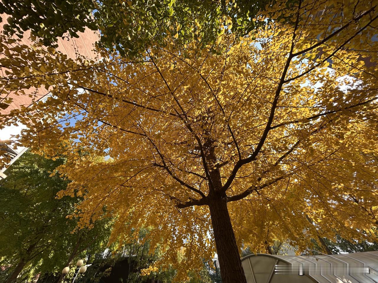 送外卖为什么丢人呢？不丢人

现在很多人都躺在家里啃老，这才真正丢人呢！

人要